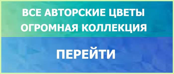 Цветы букеты ручной работы купить недорого