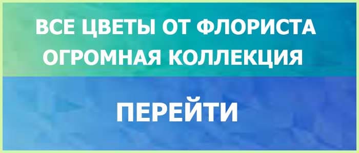 Доверься профессионалам купить цветы от флориста недорого