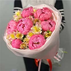 Букет из 7 коралловых пионов и нежных альстромерий